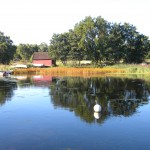 Vasslåtter i Djursvik 2011