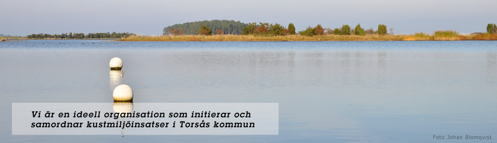 Torsås kustmiljögrupp