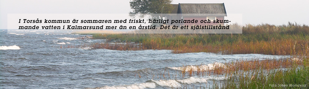 Torsås kustmiljögrupp